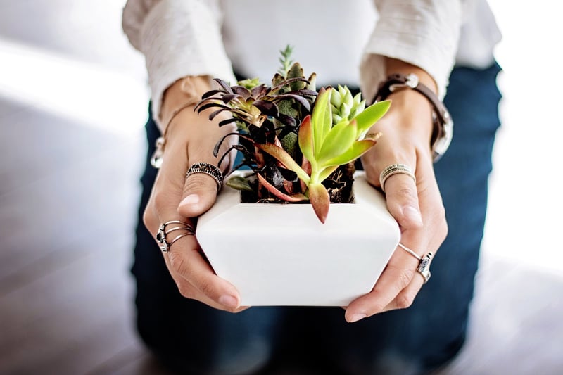 Companion Planting